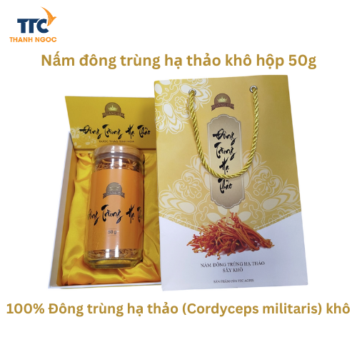 Nấm Đông trùng hạ thảo khô hộp 50g